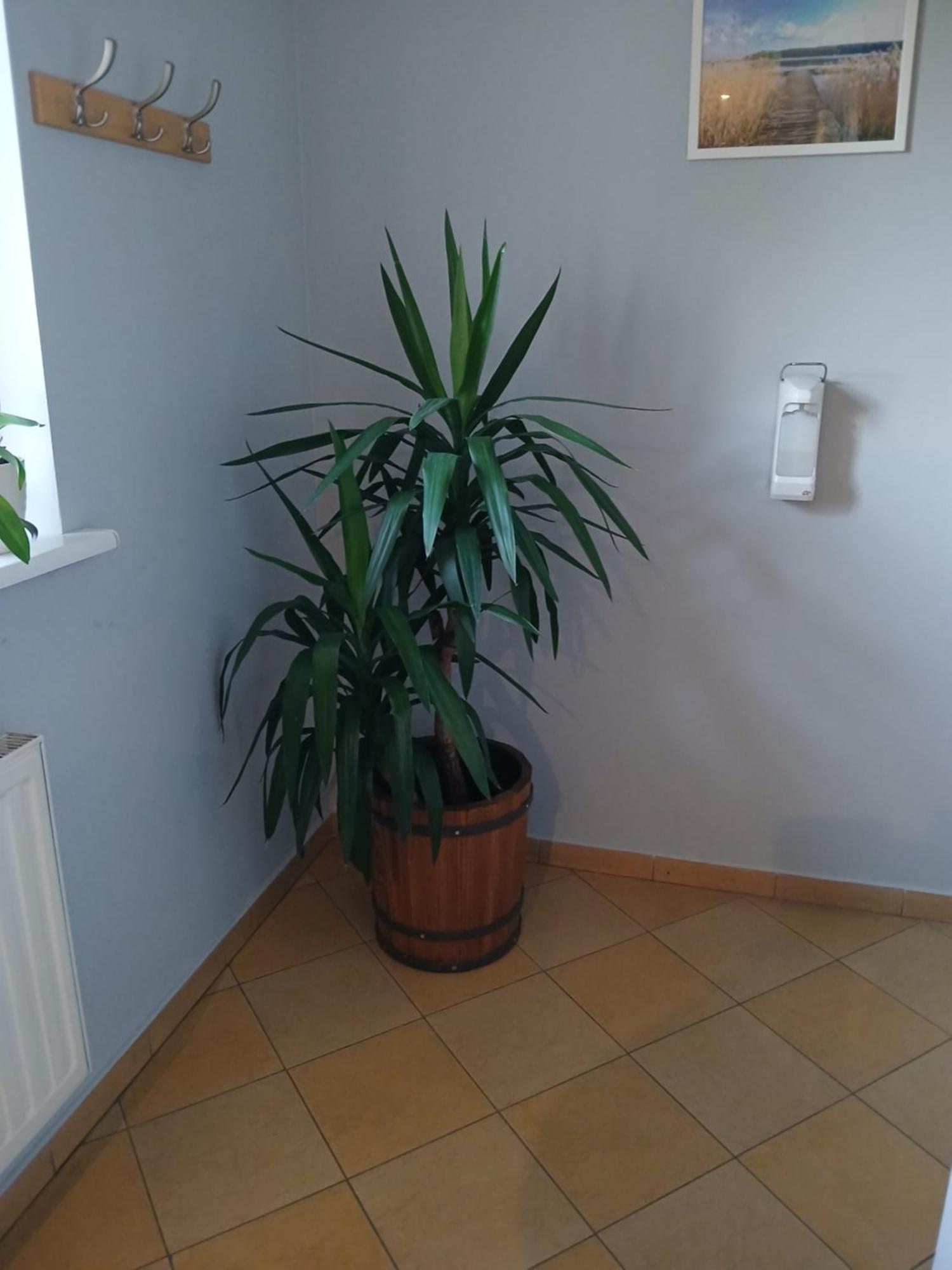 Dom Brama Mazur Bed and Breakfast Ostróda Εξωτερικό φωτογραφία